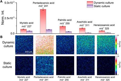 Reducing the matrix effect in mass spectral imaging of biofilms using flow-cell culture